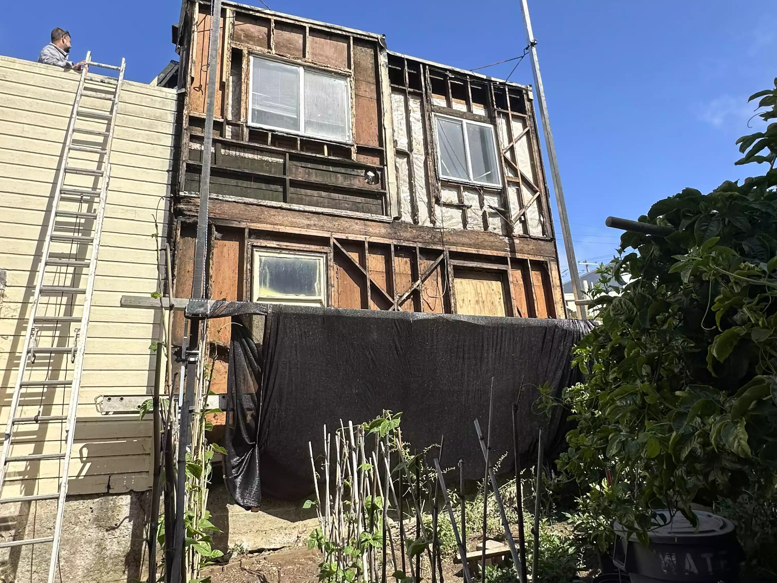 Before image