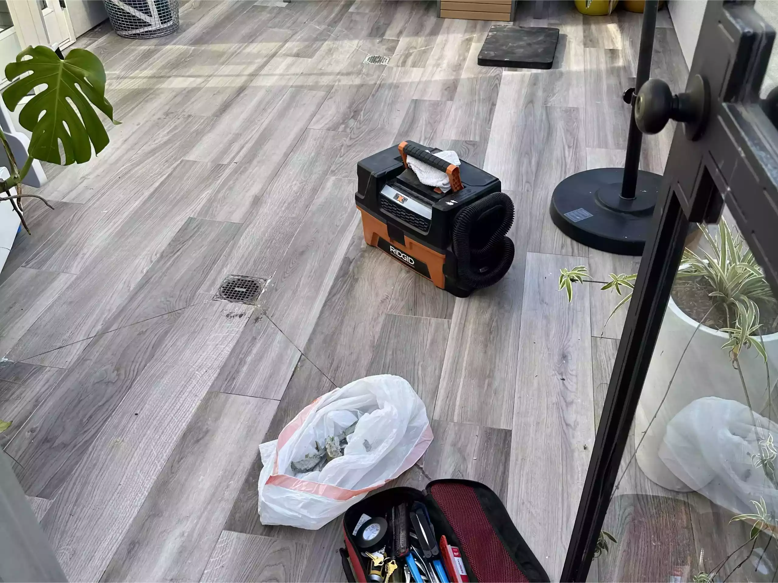 Before image